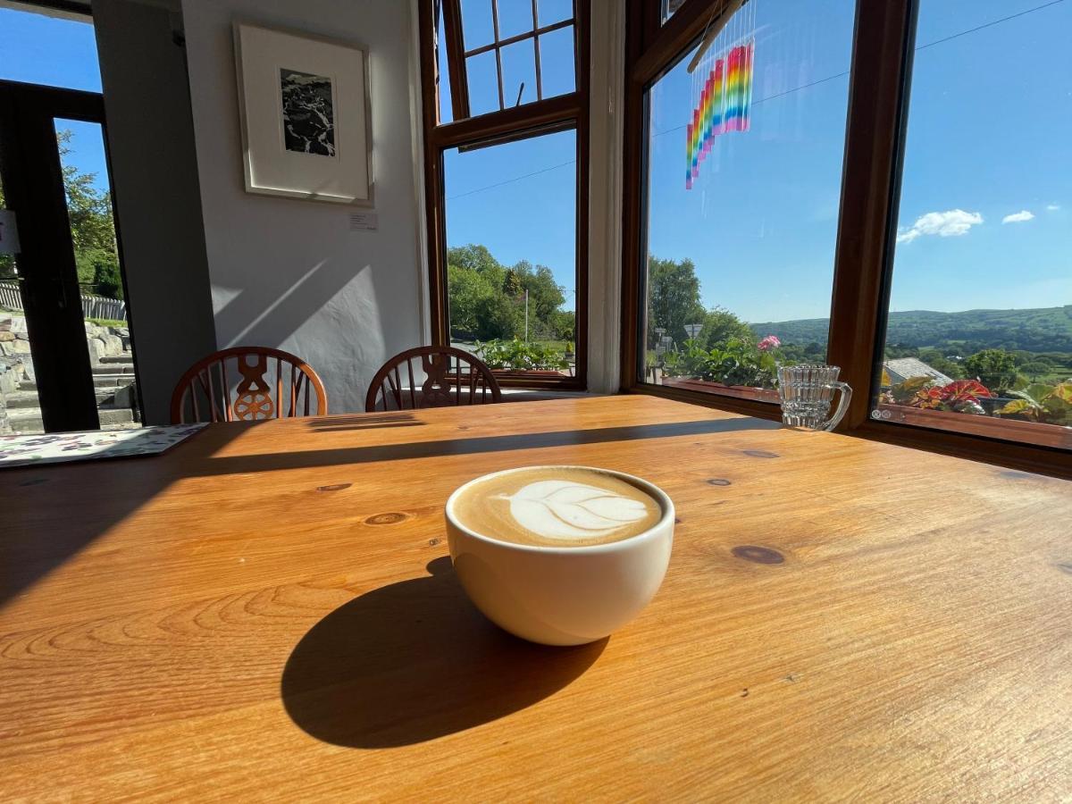 Y Llew Coch Bed & Breakfast Conwy Dış mekan fotoğraf