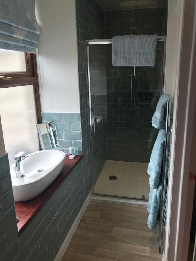 Y Llew Coch Bed & Breakfast Conwy Dış mekan fotoğraf