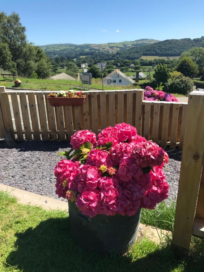 Y Llew Coch Bed & Breakfast Conwy Dış mekan fotoğraf